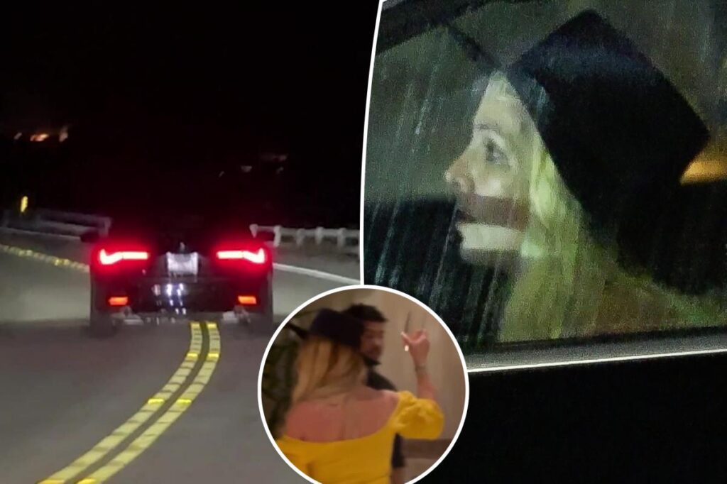 Britney Spears ‘wasn’t drunk’ before erratic driving video: restaurant manager
