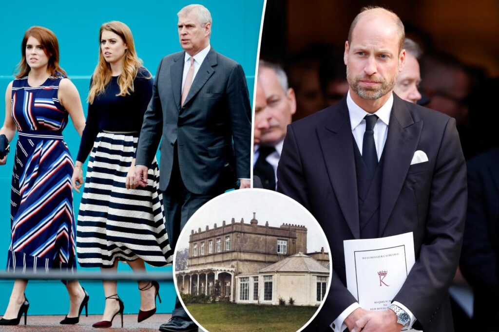 Prince William threatens extreme action against Prince Andrew’s daughters in royal family dispute: Report