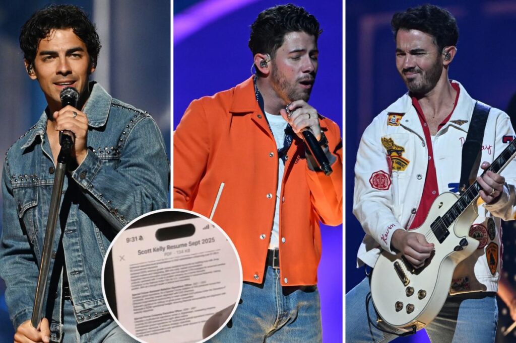 Jonas Brothers fan goes viral after reviewing resume during concert