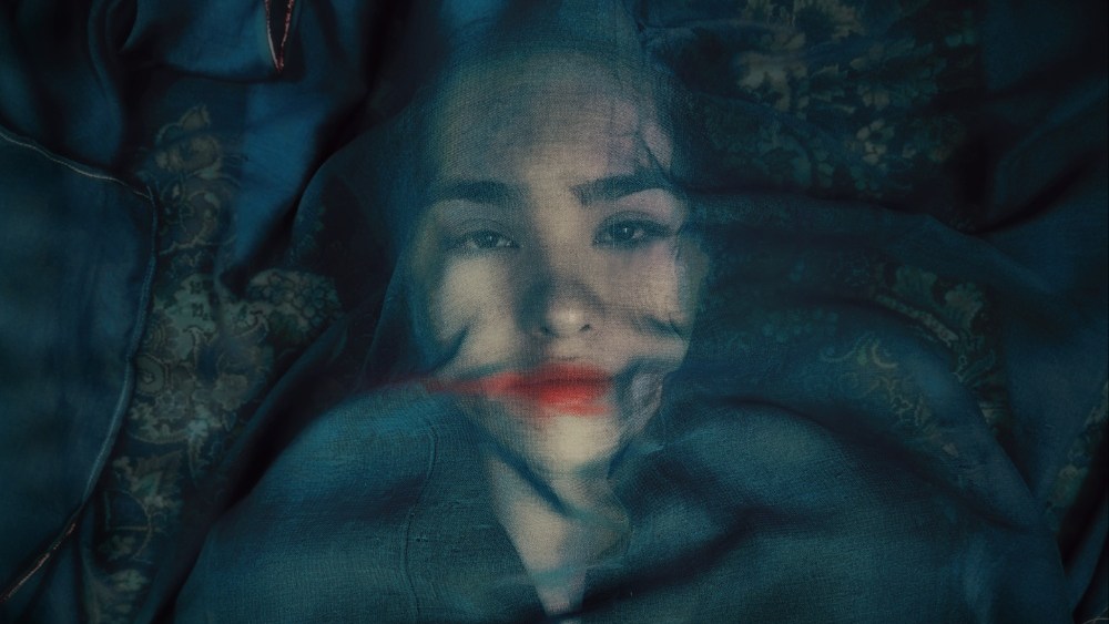 CAT&Docs features Iranian documentary ‘A Fox Under a Pink Moon’