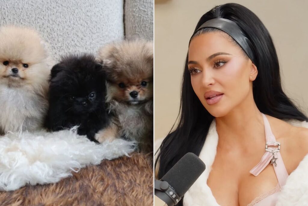 Kim Kardashian says the puppy she got for Christmas changed her family