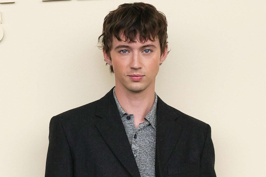 Troye Sivan addresses TikToker who said she needed plastic surgery