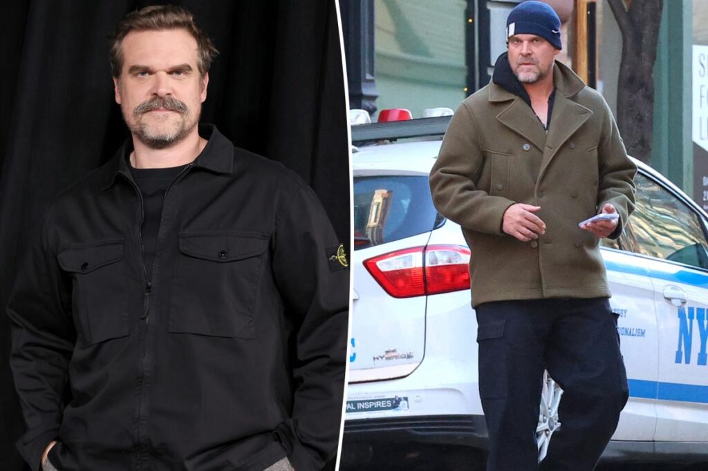 David Harbor spotted on dating app Raya: Source