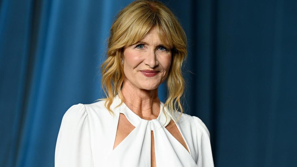 Jeffrey Epstein TV series in production, starring Laura Dern