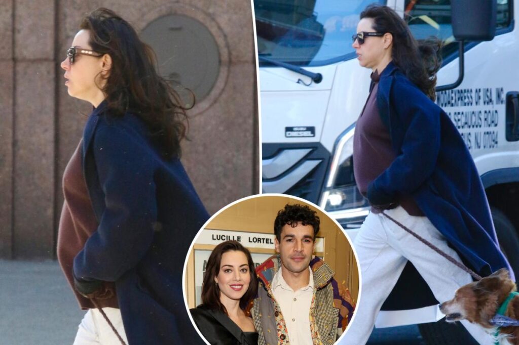 Pregnant Aubrey Plaza shows off baby bump in new photo