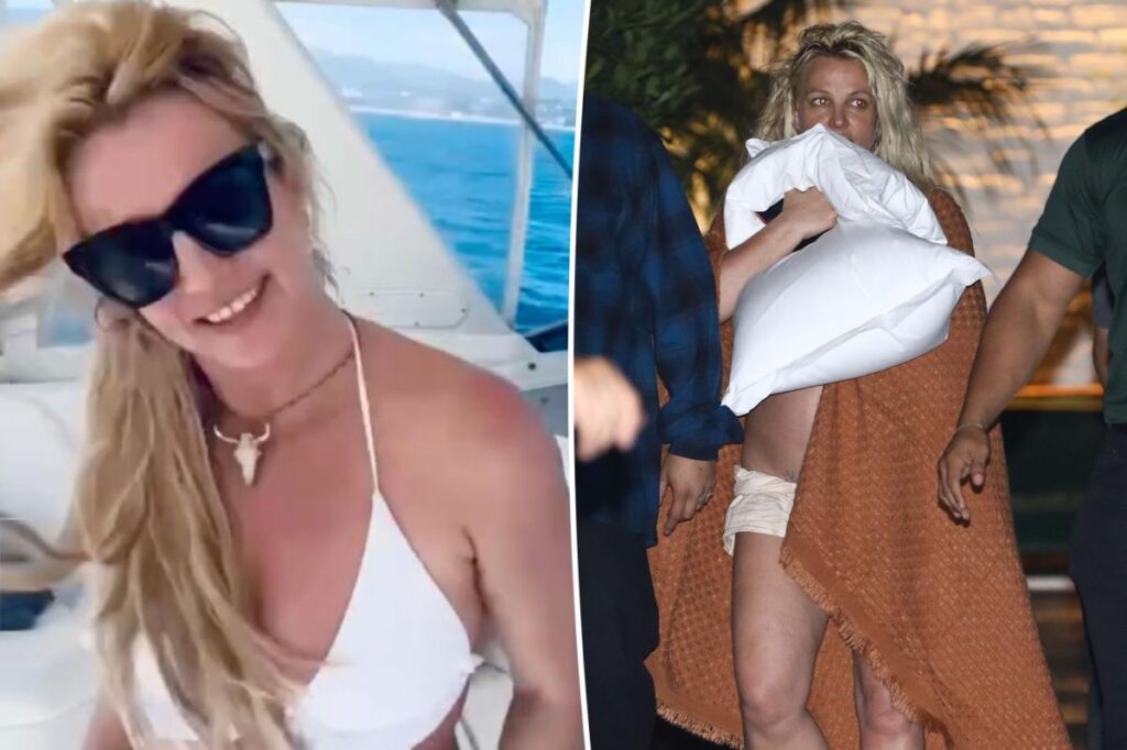 Britney Spears enters rehab facility ‘by choice’ and ‘dedicates’ to recovery