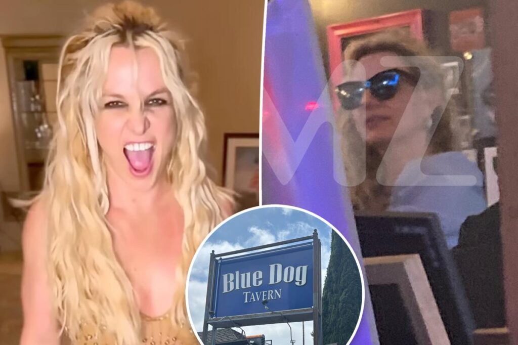 Dinner guests reveal Britney Spears’ insane ‘outburst’ at Los Angeles restaurant