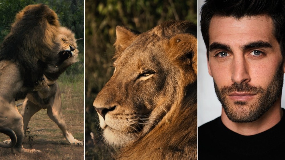 ‘The Lion Throne’ Vertical Documentary Series Set with FlareFlow