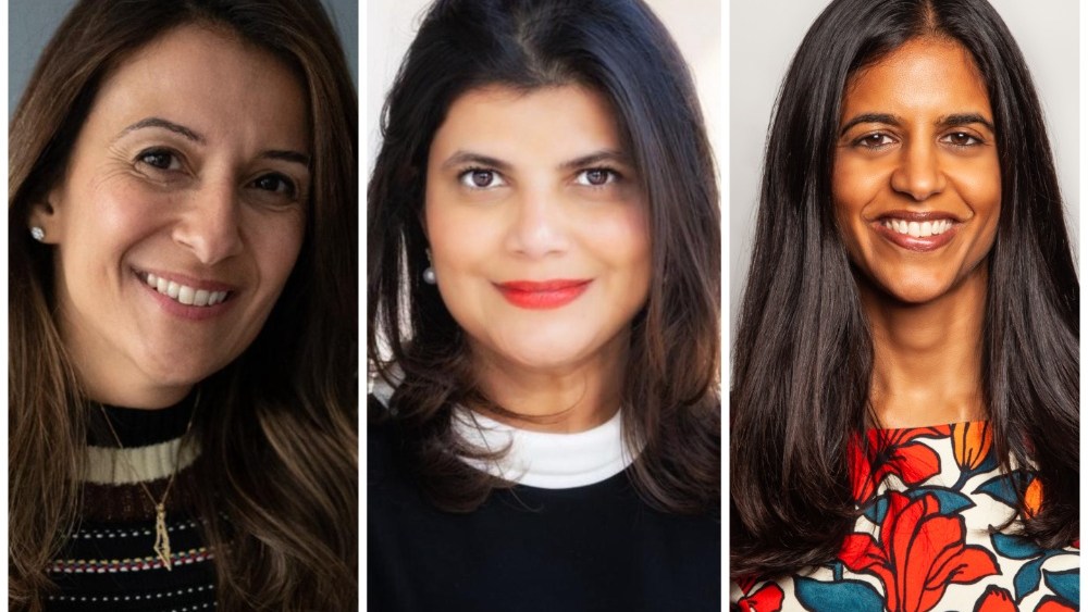 Former Red Sea boss Shivani Pandya Malhotra talks about expanding TA films