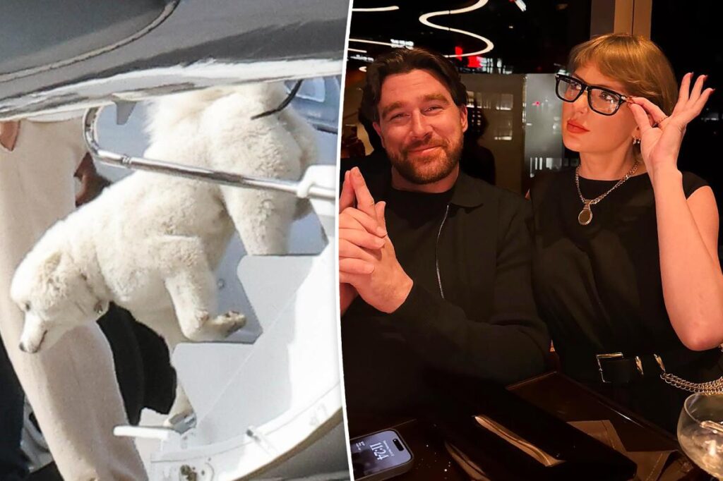 New details about Taylor Swift and Travis Kelce’s dog revealed